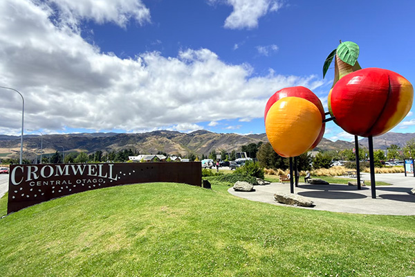 蒂卡坡 - 瓦纳卡 - 皇后镇